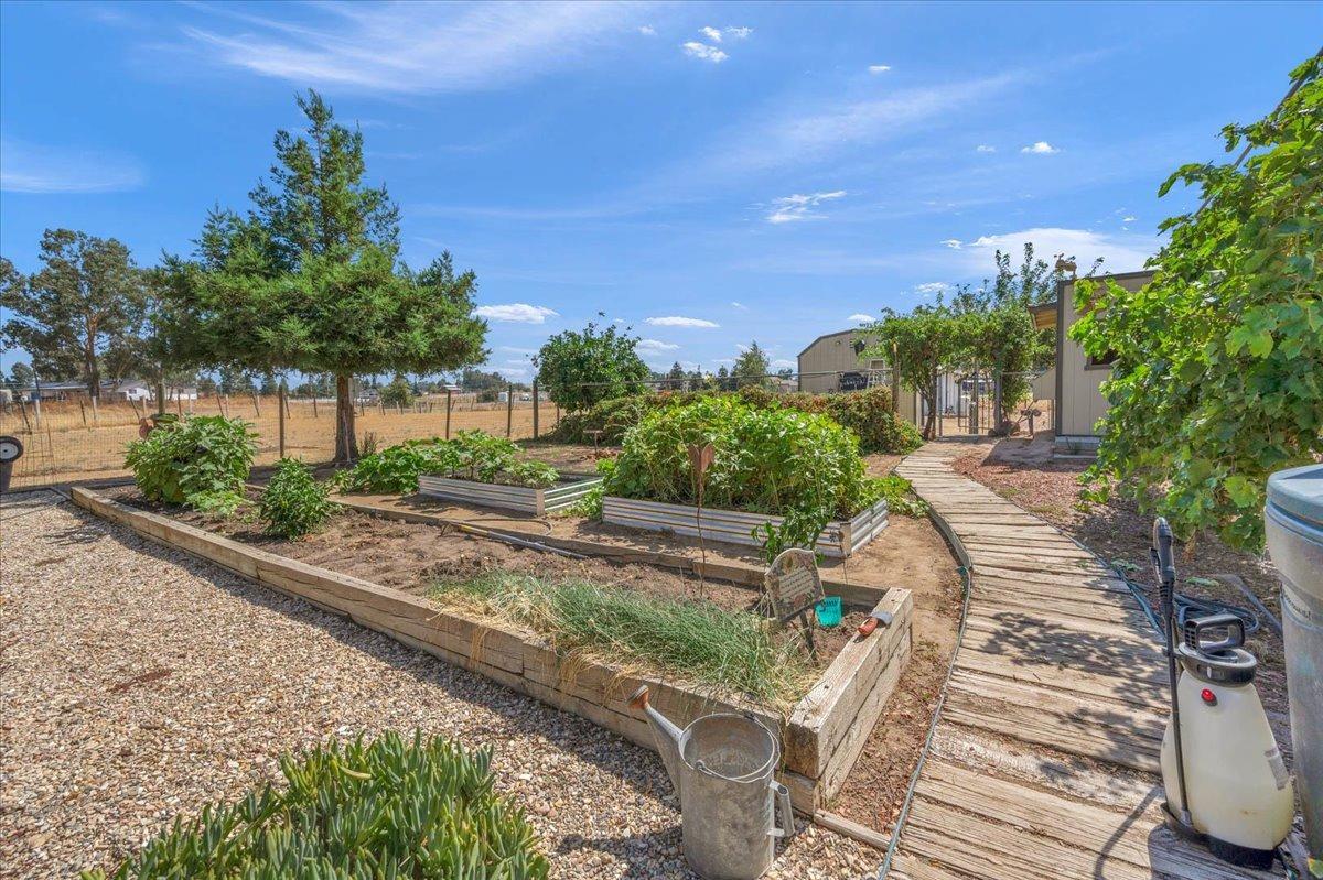 16397 Road 37 Madera, CA 93636 - Photo 34 of 74 Custom sidewalk and raised containers for planting.