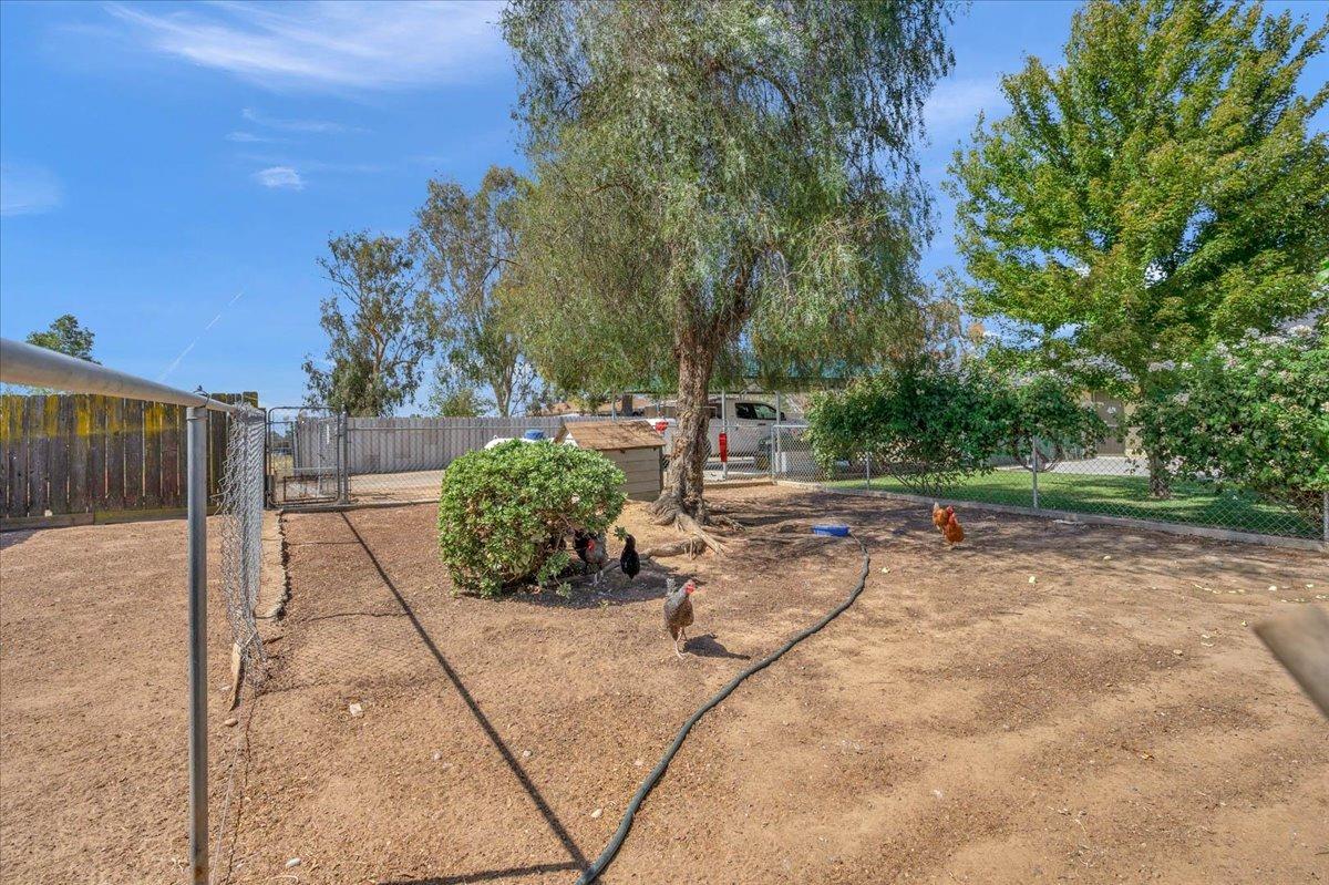 16397 Road 37 Madera, CA 93636 - Photo 37 of 74 Fenced area presently for chickens.