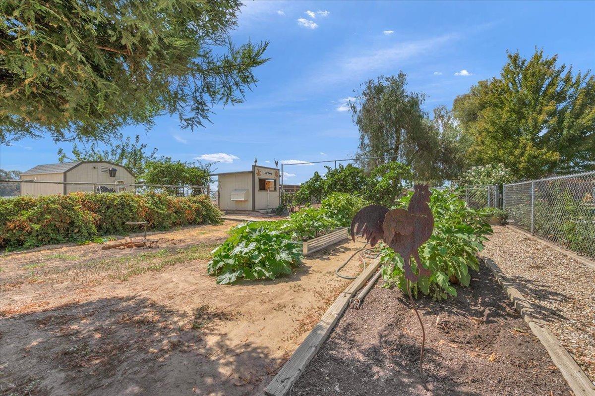 16397 Road 37 Madera, CA 93636 - Photo 38 of 74 a picture of plants and a yard