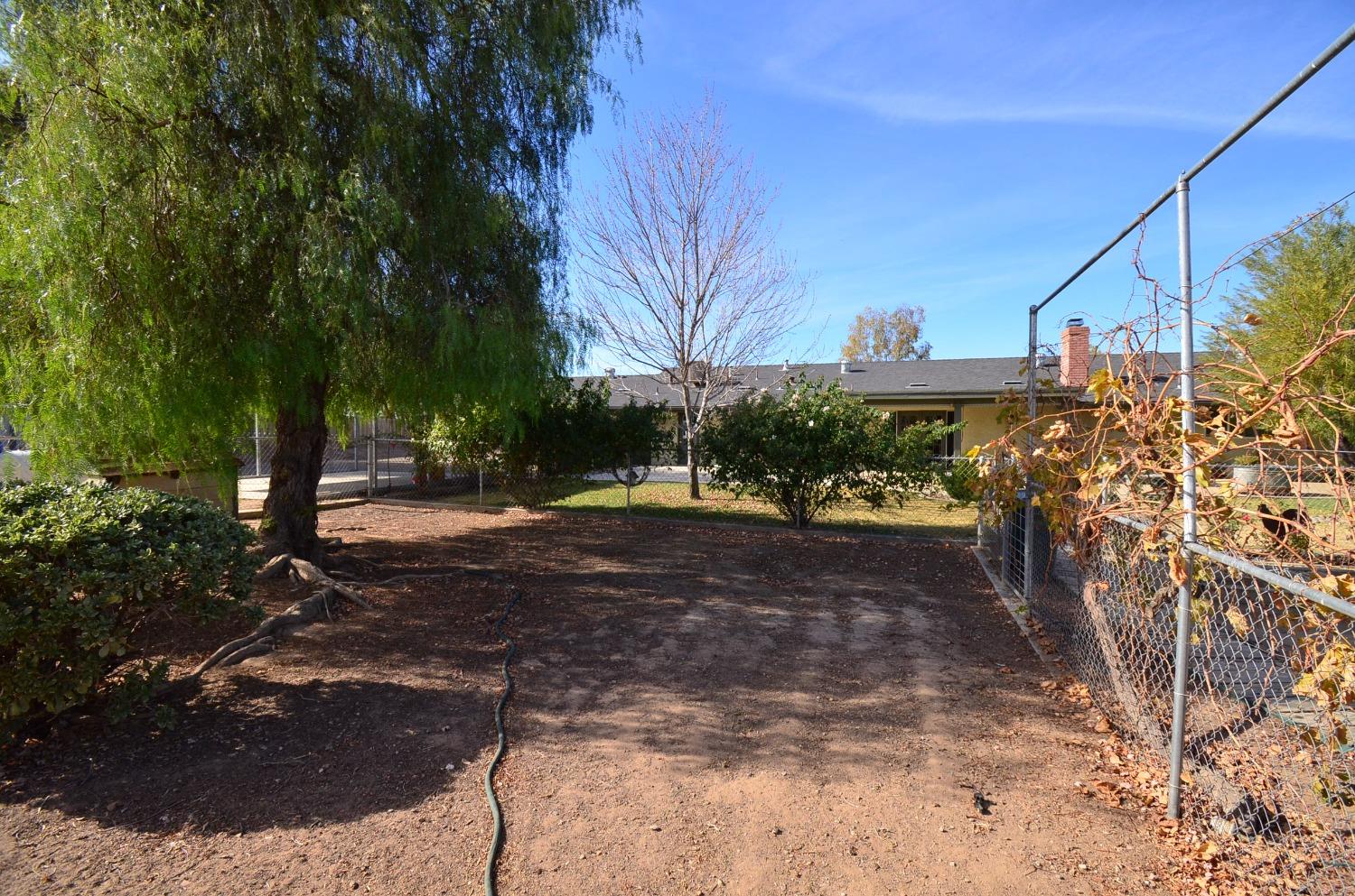 16397 Road 37 Madera, CA 93636 - Photo 63 of 74 a view of a yard with plants and trees
