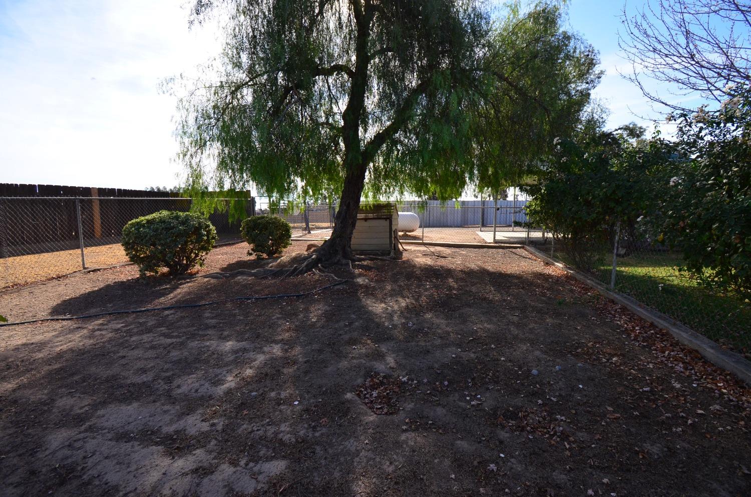 16397 Road 37 Madera, CA 93636 - Photo 68 of 74 a view of a park with large trees