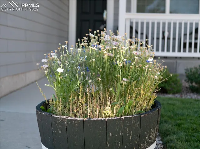 a wooden floor filled with plants and flowers