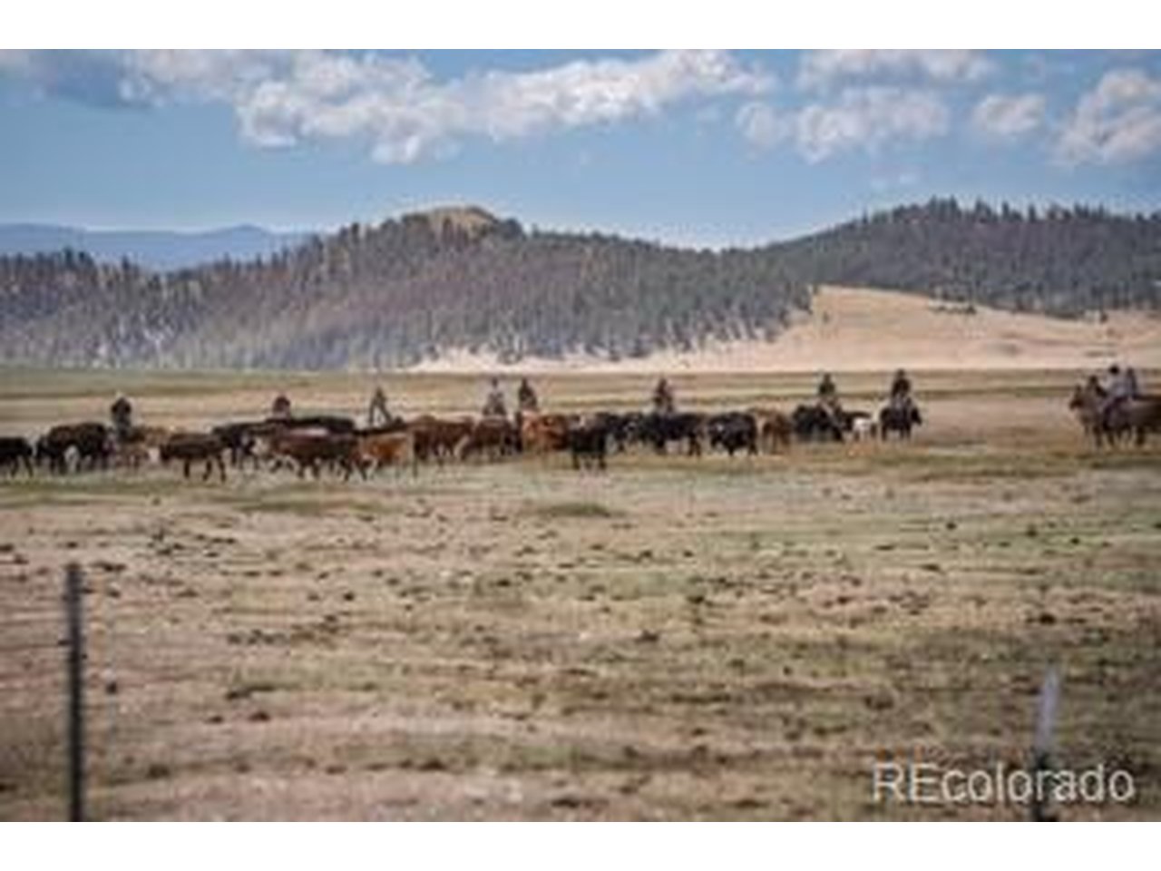 33185 9th Hartsel, CO 80449 - Photo 17 of 17