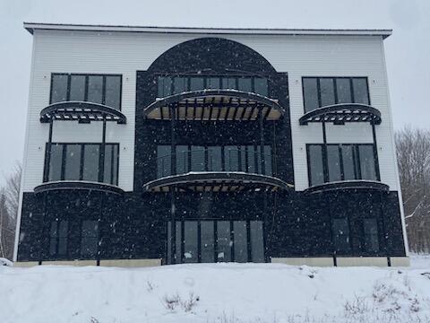 front of house snow 2025