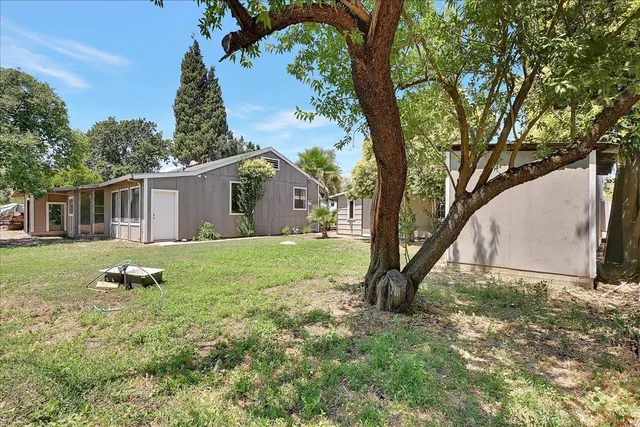 a backyard of a house with plants and large tree
