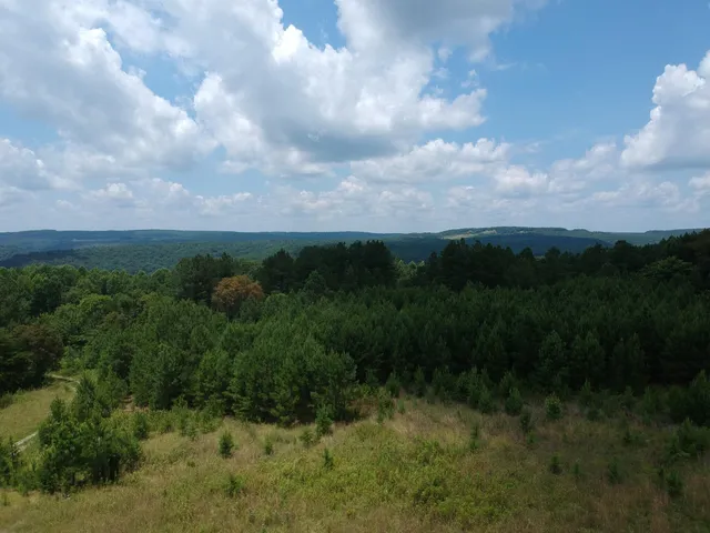 $468,000 | 5199 Burkett Chapel Road, Gruetli Laager, TN 37339