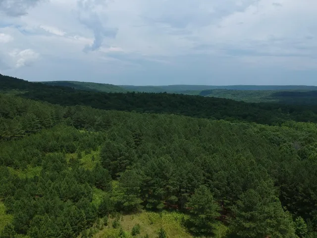 $468,000 | 5199 Burkett Chapel Road, Gruetli Laager, TN 37339