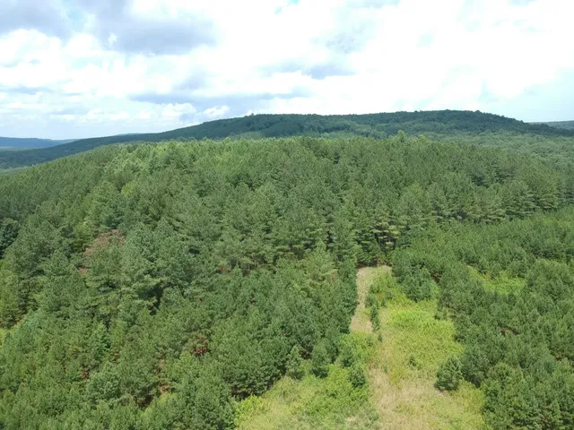 $468,000 | 5199 Burkett Chapel Road, Gruetli Laager, TN 37339