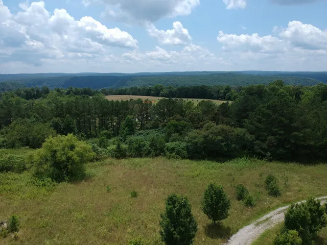 $468,000 | 5199 Burkett Chapel Road, Gruetli Laager, TN 37339