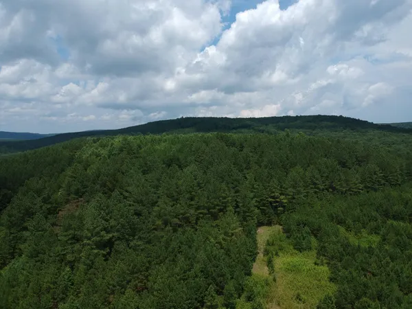 $468,000 | 5199 Burkett Chapel Road, Gruetli Laager, TN 37339