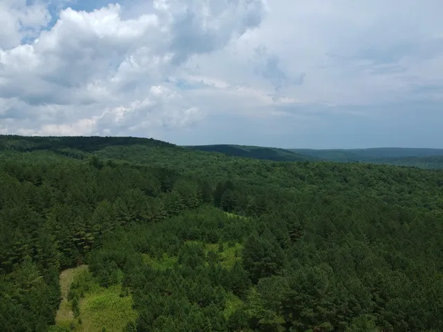 $468,000 | 5199 Burkett Chapel Road, Gruetli Laager, TN 37339