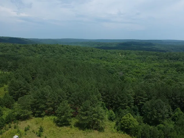 $468,000 | 5199 Burkett Chapel Road, Gruetli Laager, TN 37339