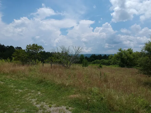 $468,000 | 5199 Burkett Chapel Road, Gruetli Laager, TN 37339