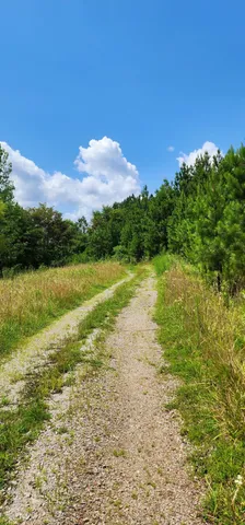 $468,000 | 5199 Burkett Chapel Road, Gruetli Laager, TN 37339