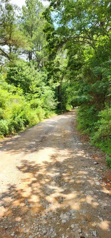 $468,000 | 5199 Burkett Chapel Road, Gruetli Laager, TN 37339