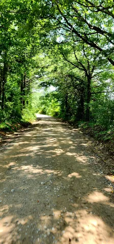 $468,000 | 5199 Burkett Chapel Road, Gruetli Laager, TN 37339