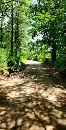 $468,000 | 5199 Burkett Chapel Road, Gruetli Laager, TN 37339