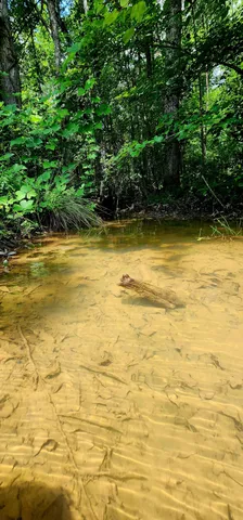 $468,000 | 5199 Burkett Chapel Road, Gruetli Laager, TN 37339