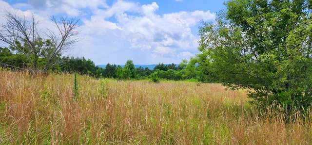 $468,000 | 5199 Burkett Chapel Road, Gruetli Laager, TN 37339