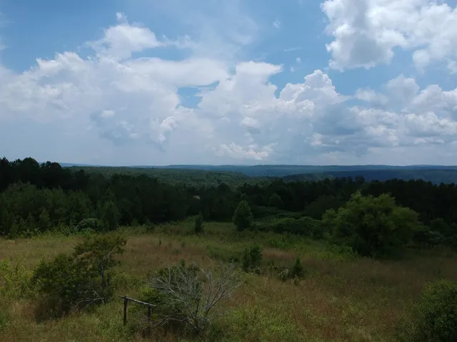 $468,000 | 5199 Burkett Chapel Road, Gruetli Laager, TN 37339