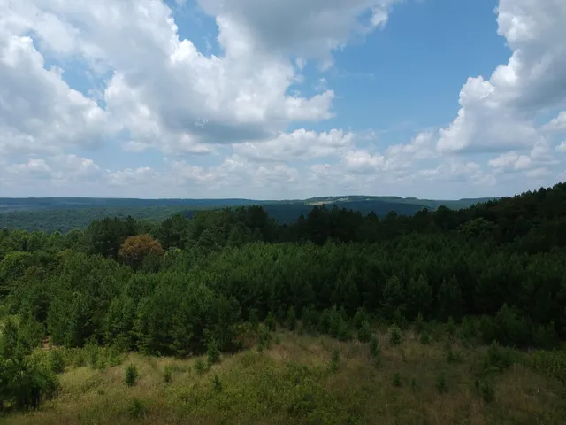 $468,000 | 5199 Burkett Chapel Road, Gruetli Laager, TN 37339