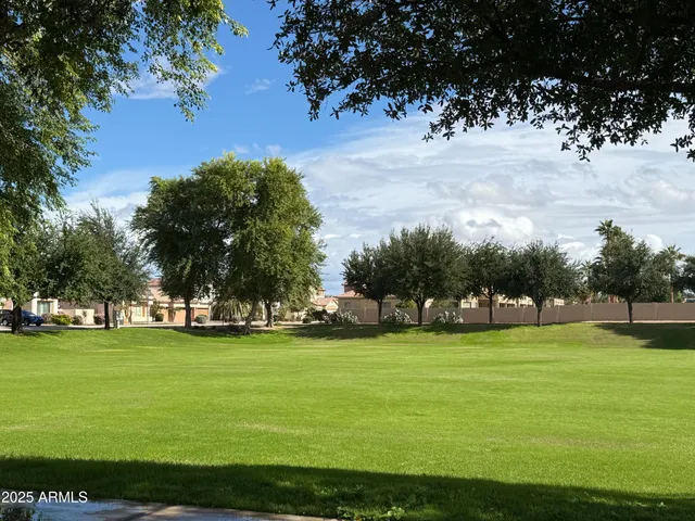 a view of a park with large trees
