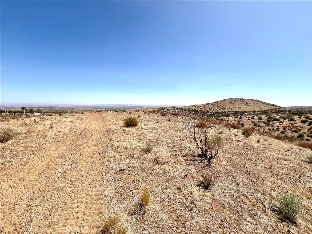 113 Juniper Mesa Road Juniper Hills, CA 93543 - Photo 11 of 15