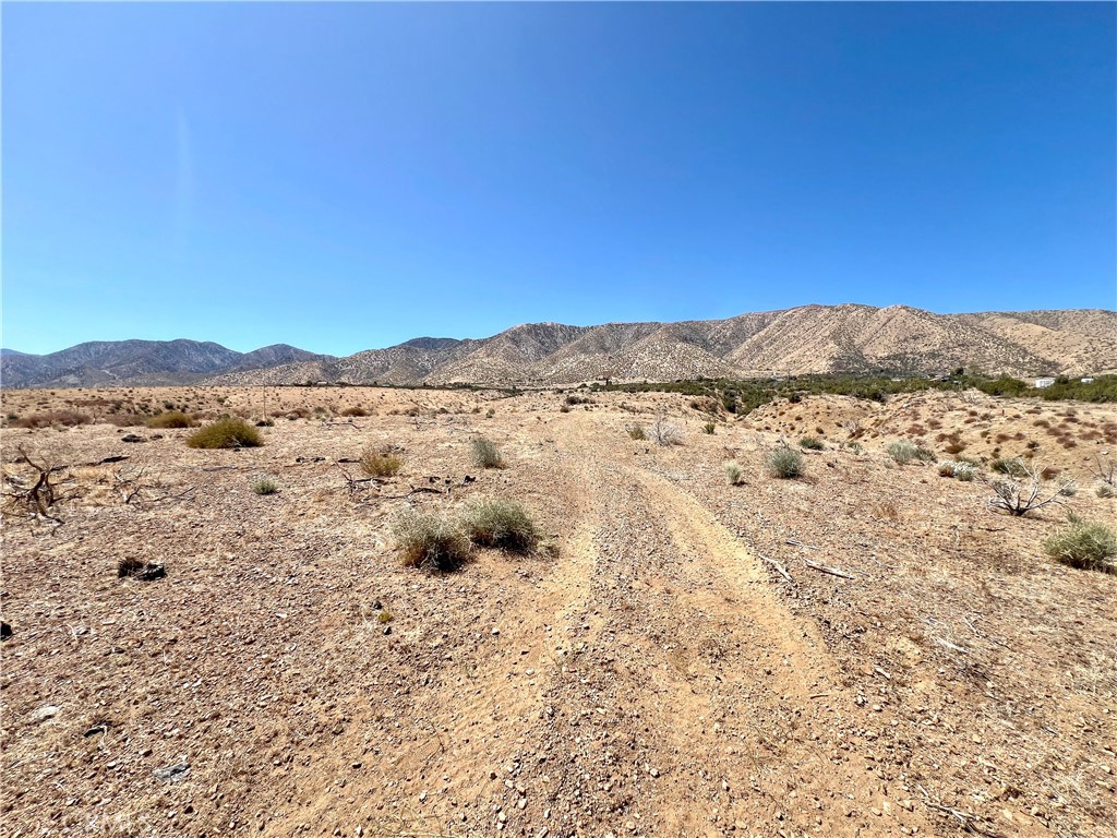 113 Juniper Mesa Road Juniper Hills, CA 93543 - Photo 3 of 15 a view of lake and mountain