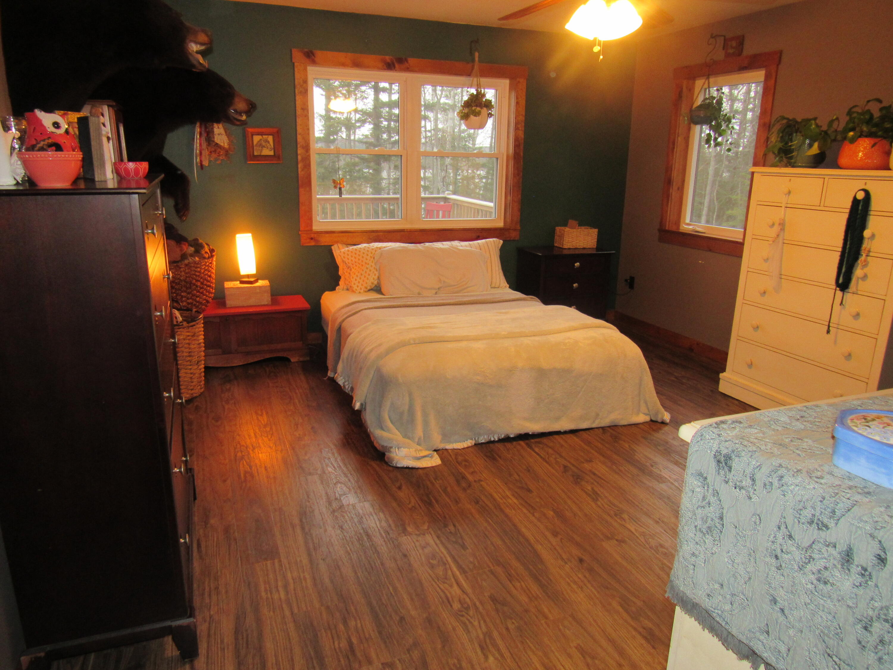 702 Long Pond Road Jackman, ME 04945 - Photo 22 of 52 IMG_7069