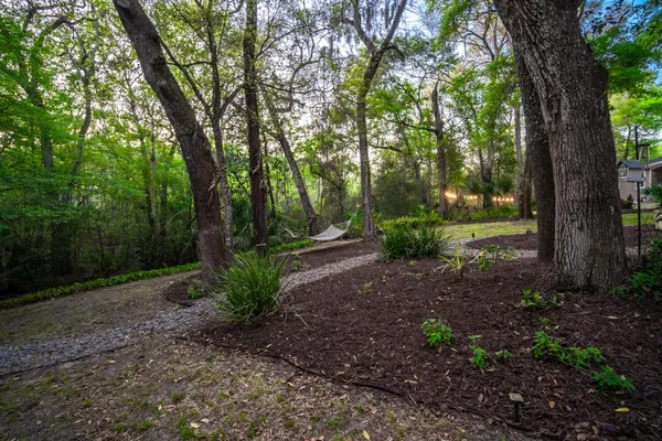 a backyard of a house with lots of green space