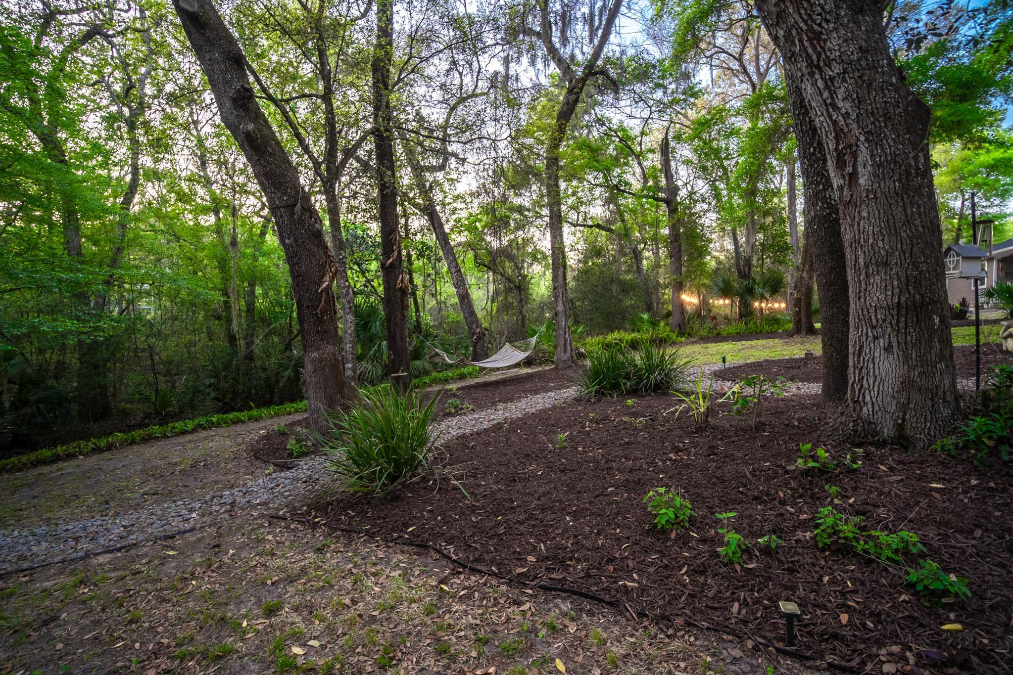 3253 Turtle Creek Road St. Augustine, FL 32086 - Photo 37 of 40 View of yard