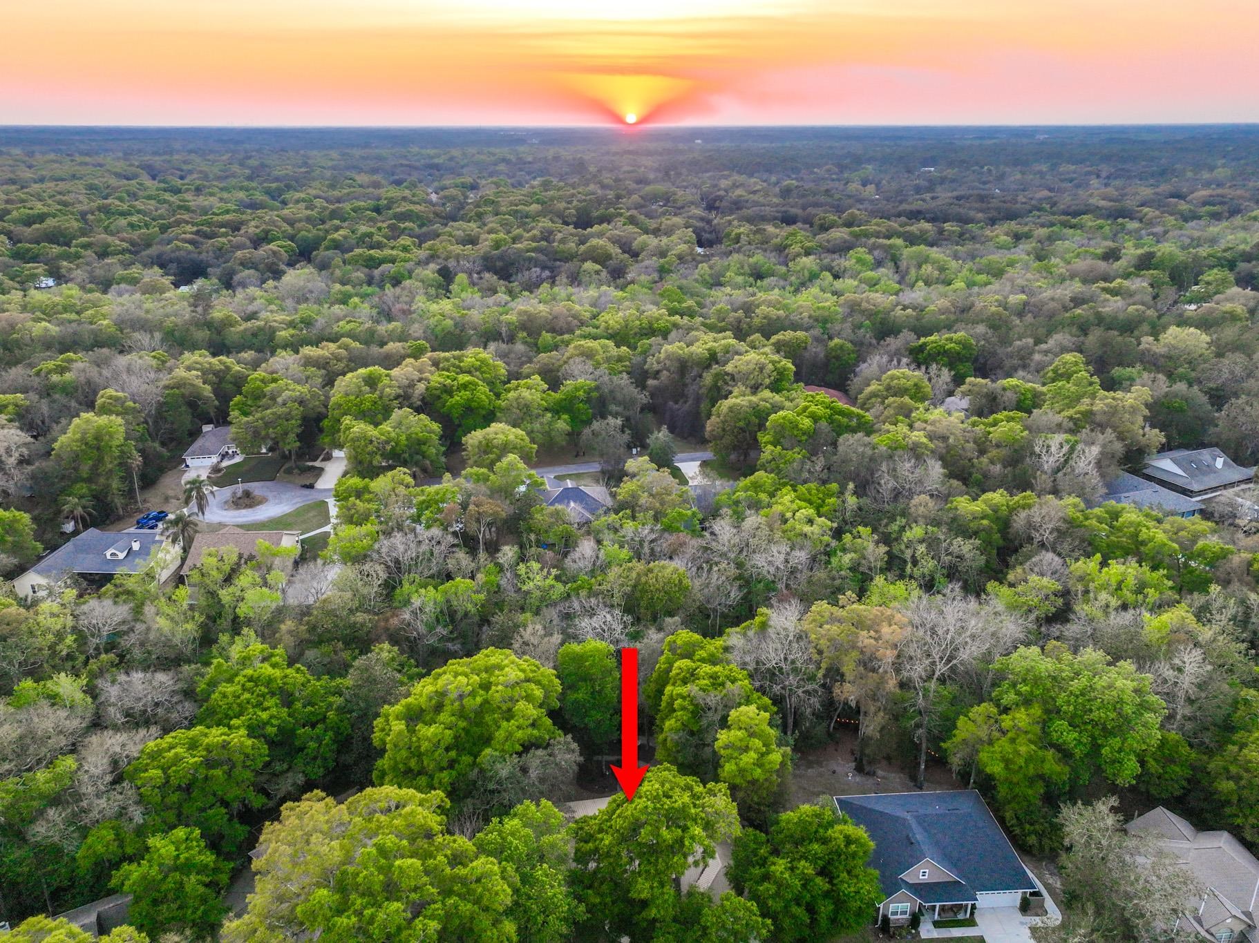 3253 Turtle Creek Road St. Augustine, FL 32086 - Photo 39 of 40 Aerial view at dusk of a view of trees