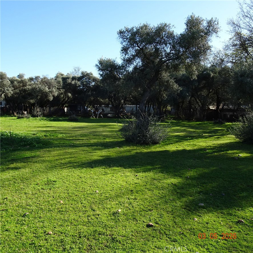 2549 Palermo Road Palermo, CA 95968 - Photo 1 of 6 a view of a big yard with a large trees