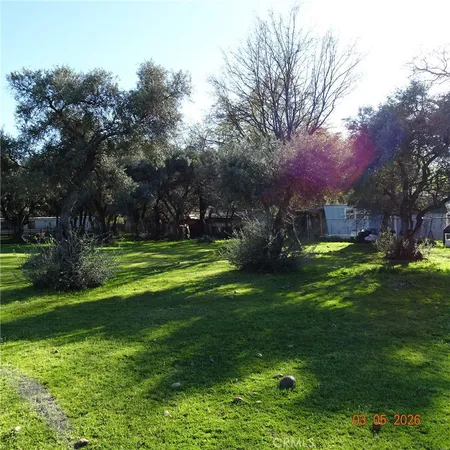 a view of a park with large trees