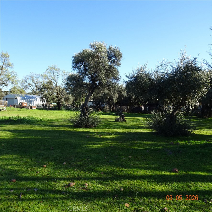 2549 Palermo Road Palermo, CA 95968 - Photo 4 of 6 a view of a park