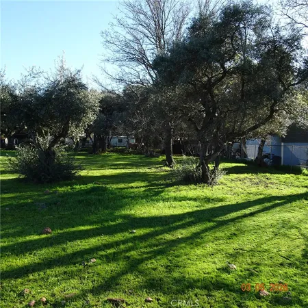 a view of a park with large trees