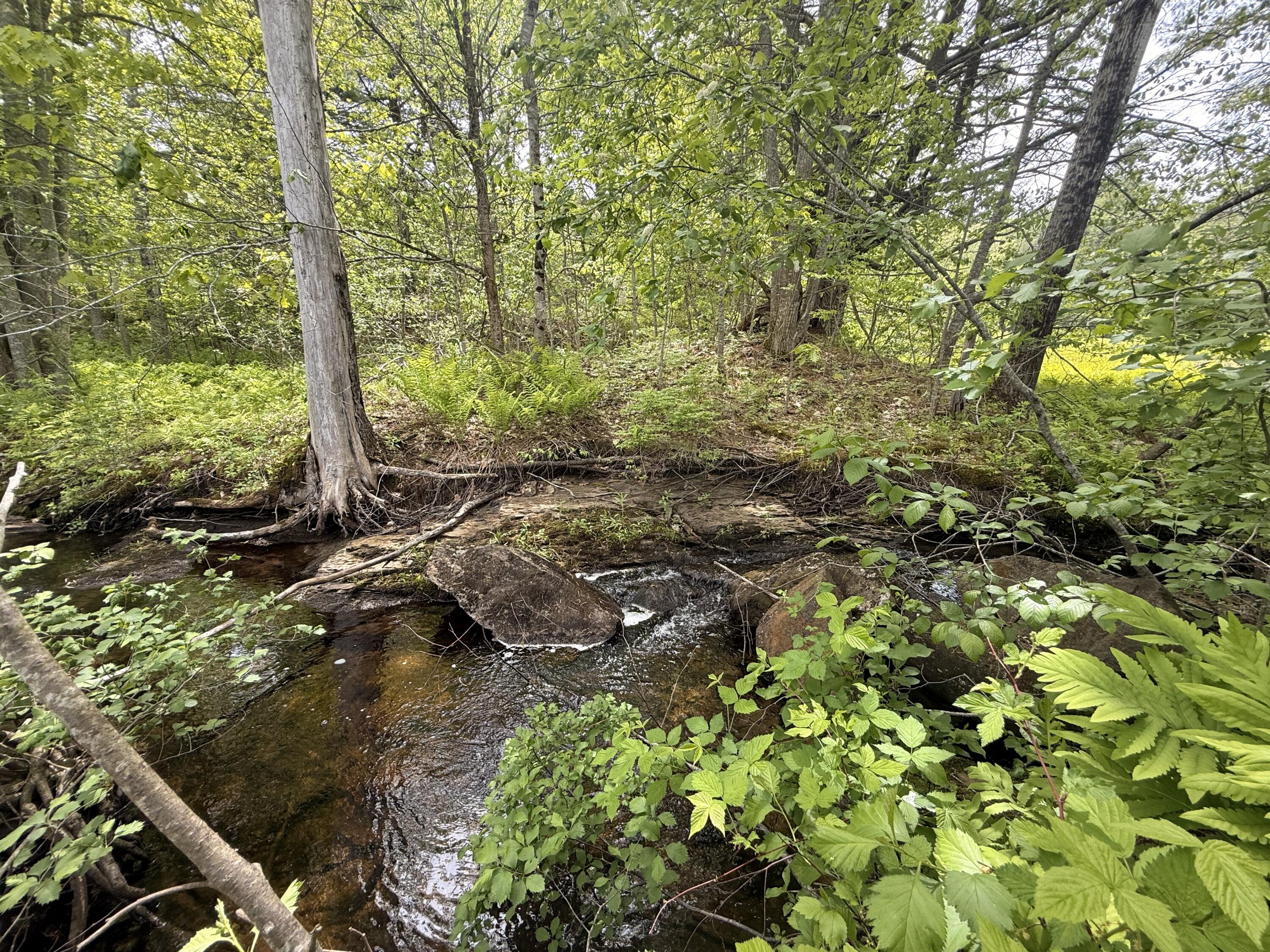 Lot 14 Beach Road Lincolnville, ME 04849 - Photo 10 of 14 IMG_0619