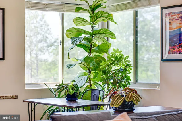 a view of a living room and kitchen