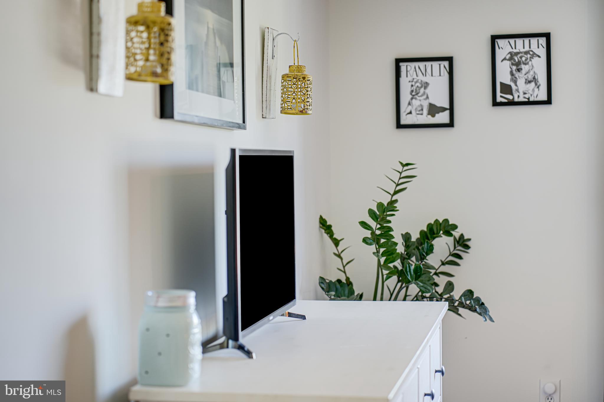 5407 9th Street Northwest, Unit 310 Washington, DC 20011 - Photo 38 of 53 a bathroom with a sink a mirror and a potted plant