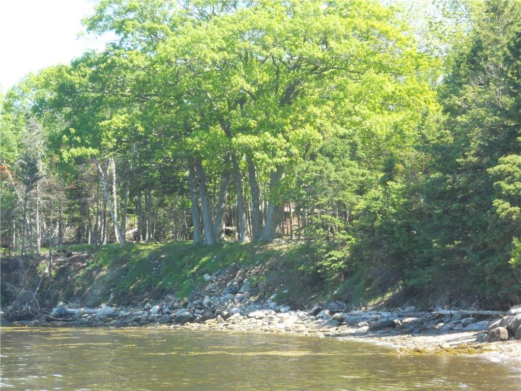 1530 Meadow Pond Road Islesboro, ME 04848 - Photo 7 of 31 Shoreline