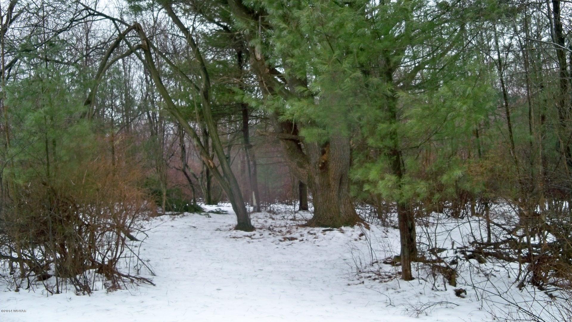 616 Rouse Pond Road Lopez, PA 18628 - Photo 42 of 49 100_7391