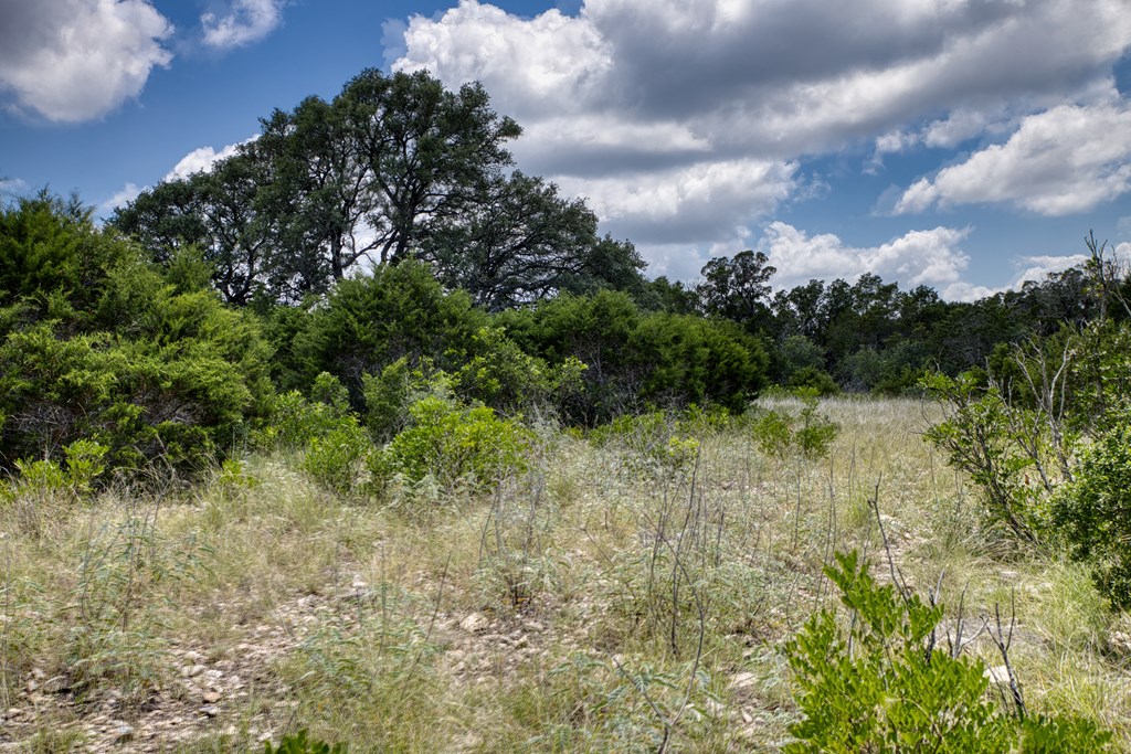 1702 Pinon Loop East Camp Wood, TX 78833 - Photo 10 of 19