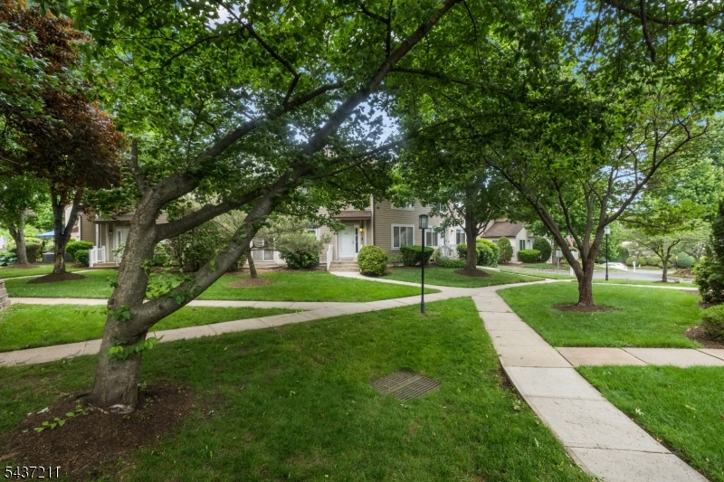 3701 Park Place Springfield, NJ 07081 - Photo 30 of 38 a view of a park with trees and a pathway