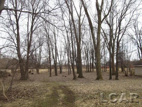 7193 Ridge Highway Britton, MI 49229 - Photo 10 of 13 31235503-9.JPG