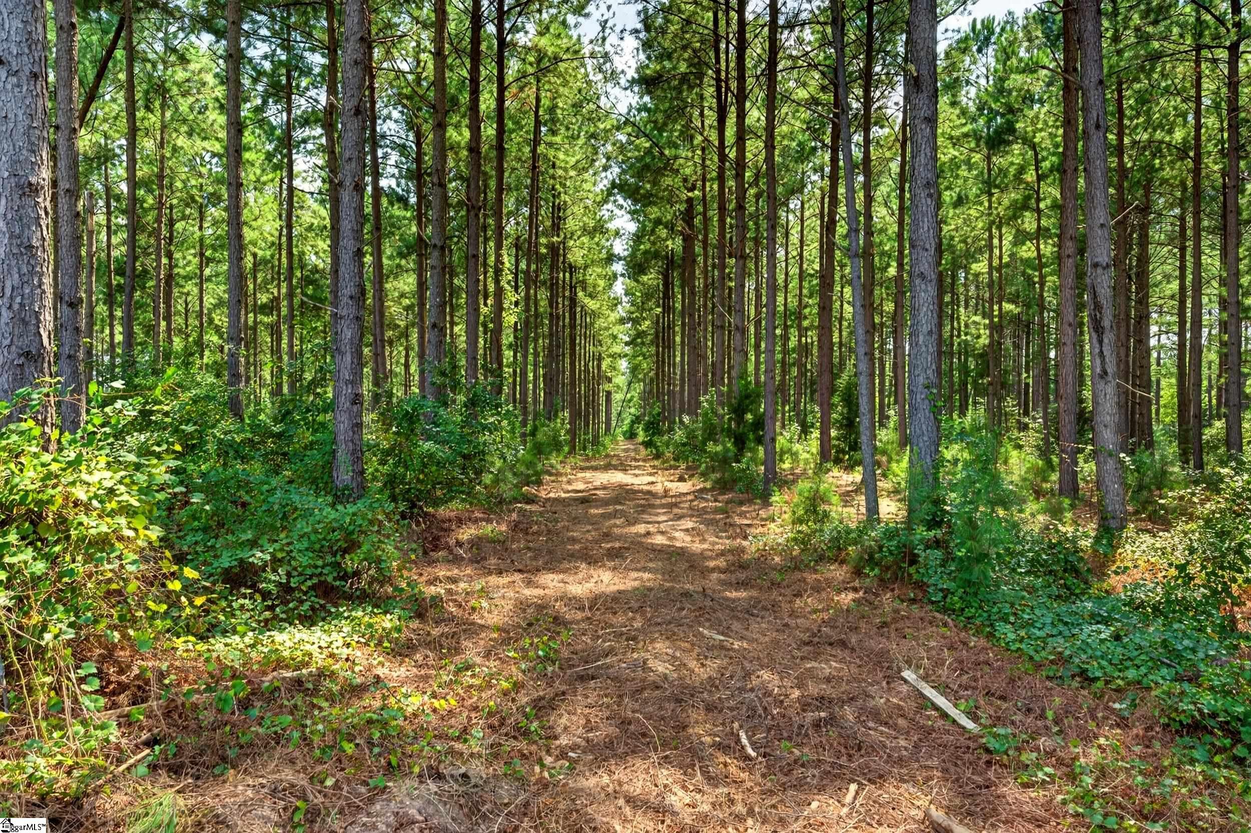 0 Todd Road Honea Path, SC 29654 - Photo 6 of 26 Gallery Image 6