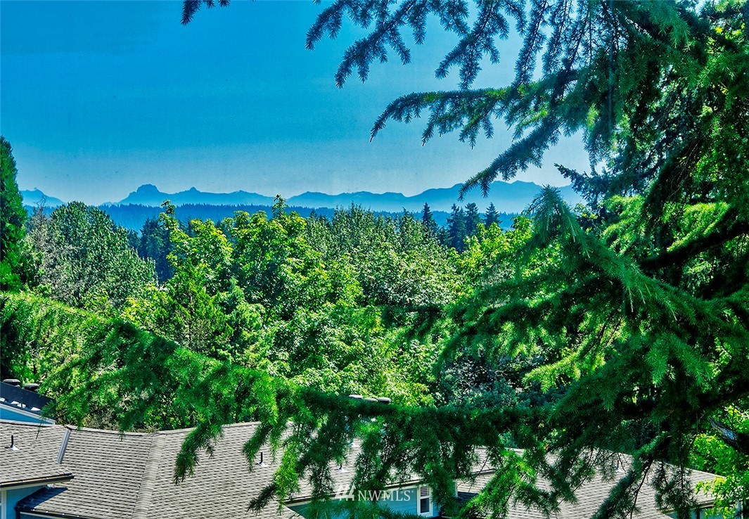 7501 Old Redmond Road, Unit 414 Redmond, WA 98052 - Photo 10 of 22 a view of a yard