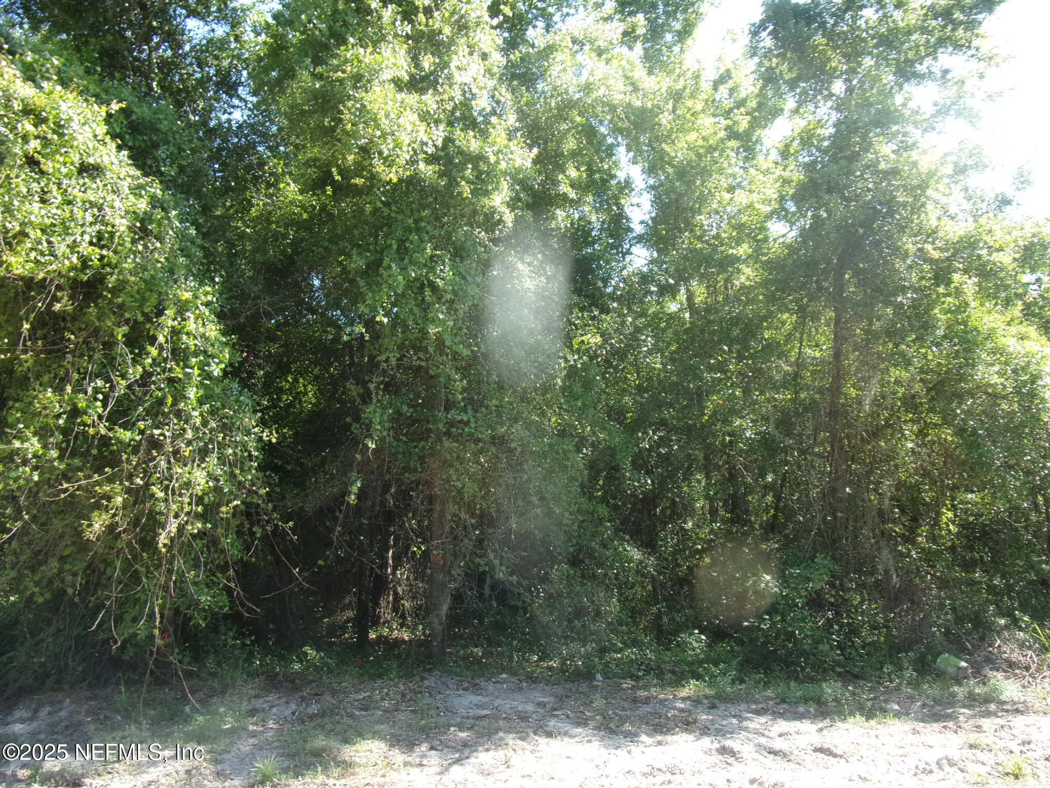 0 Edgemoor Trail Palatka, FL 32177 - Photo 4 of 11