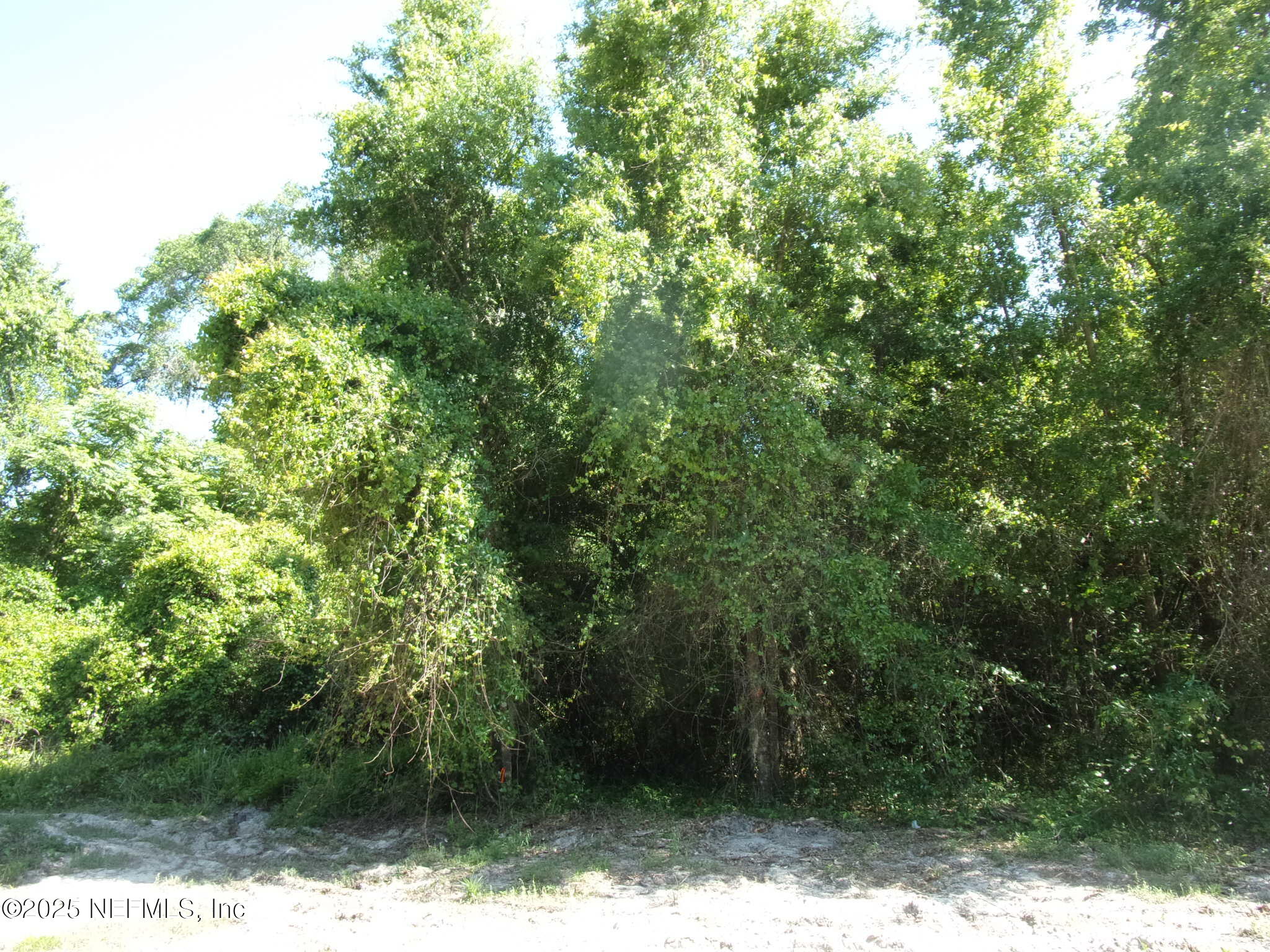 0 Edgemoor Trail Palatka, FL 32177 - Photo 5 of 11 a view of a yard