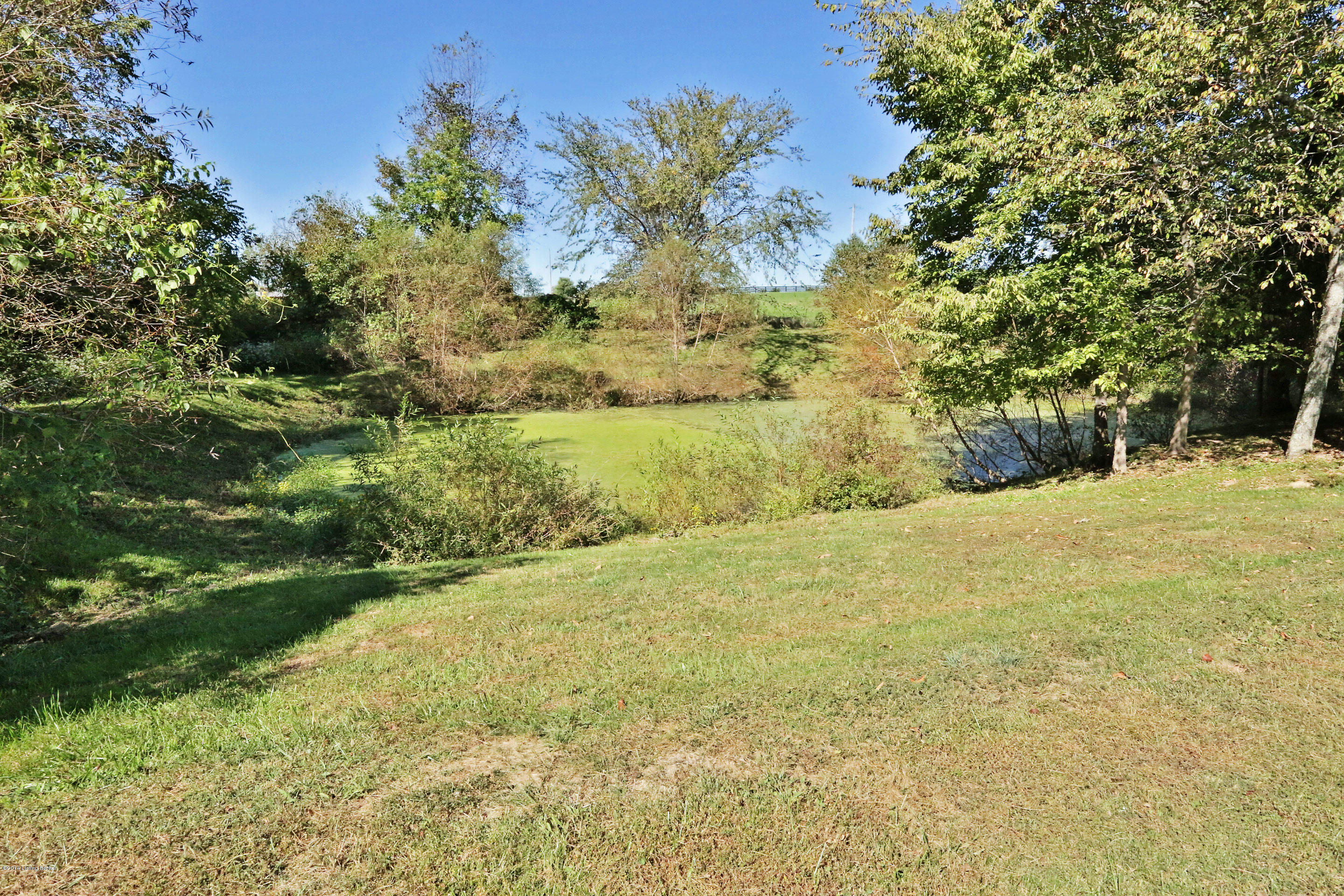 167 Mahuron Road Simpsonville, KY 40067 - Photo 25 of 29 Pond