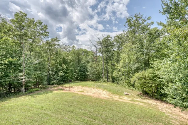 a view of a lush green forest with a beach